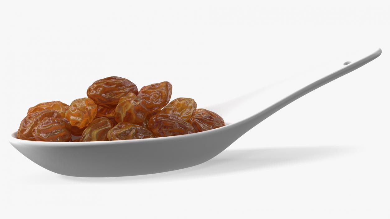 3D model Brown Sultanas in a Spoon