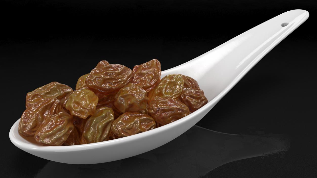 3D model Brown Sultanas in a Spoon