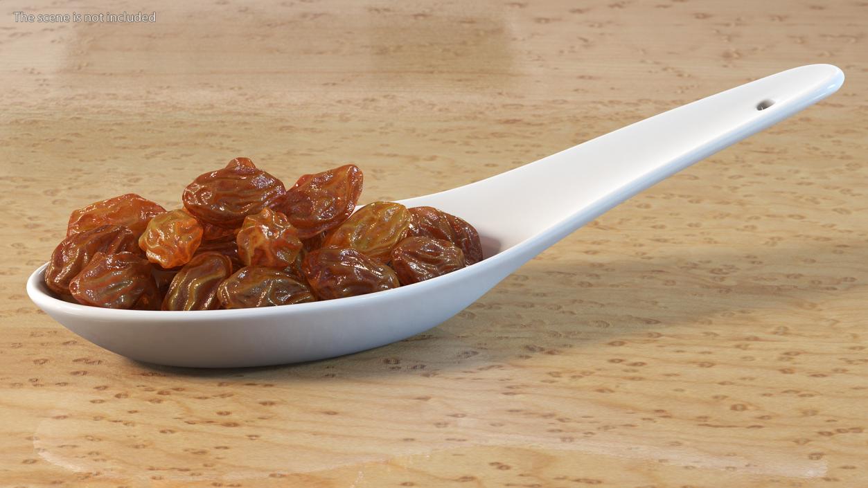 3D model Brown Sultanas in a Spoon