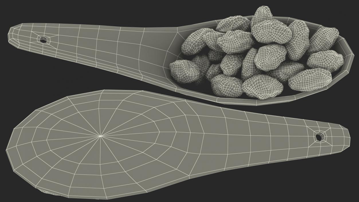 3D model Brown Sultanas in a Spoon