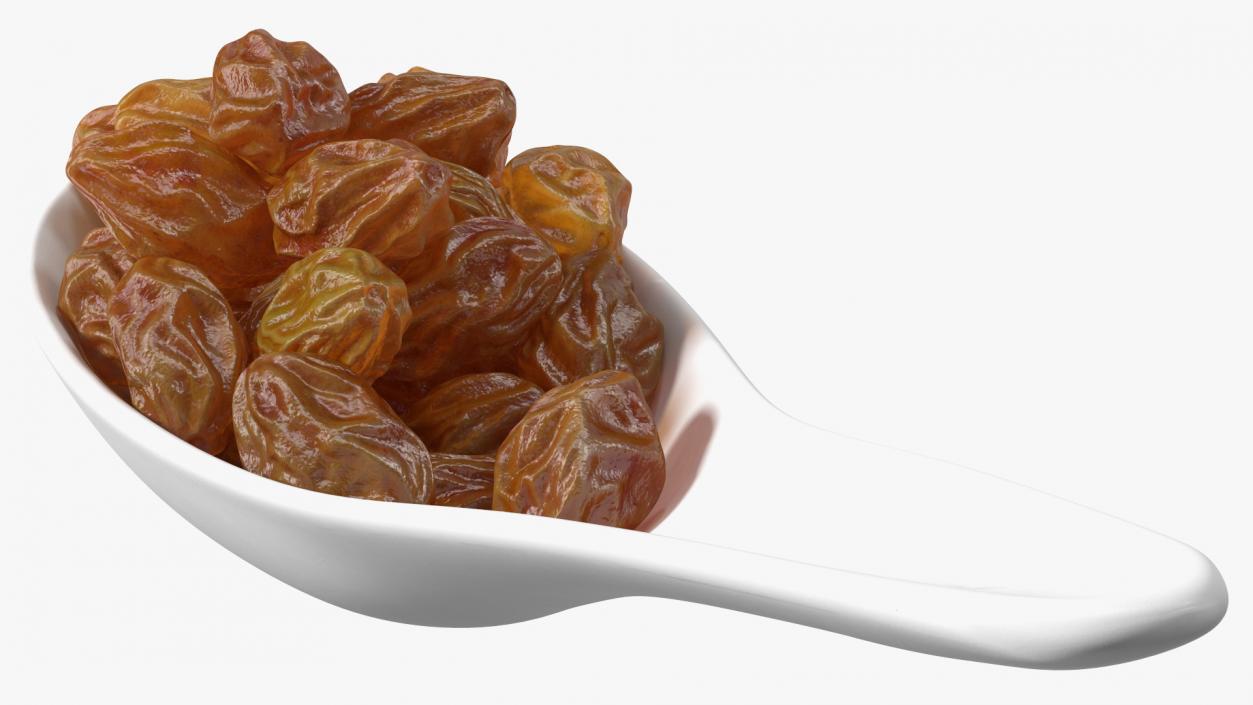 3D model Brown Sultanas in a Spoon