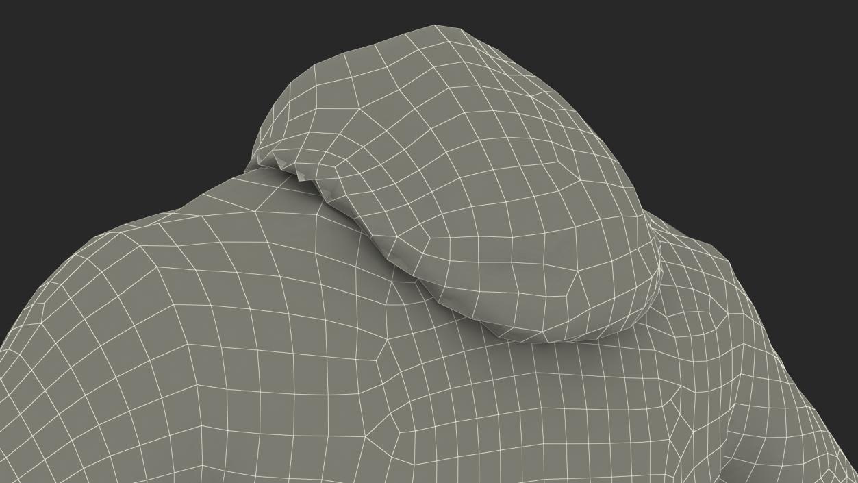 Hoodie Lowered Hood 3D model