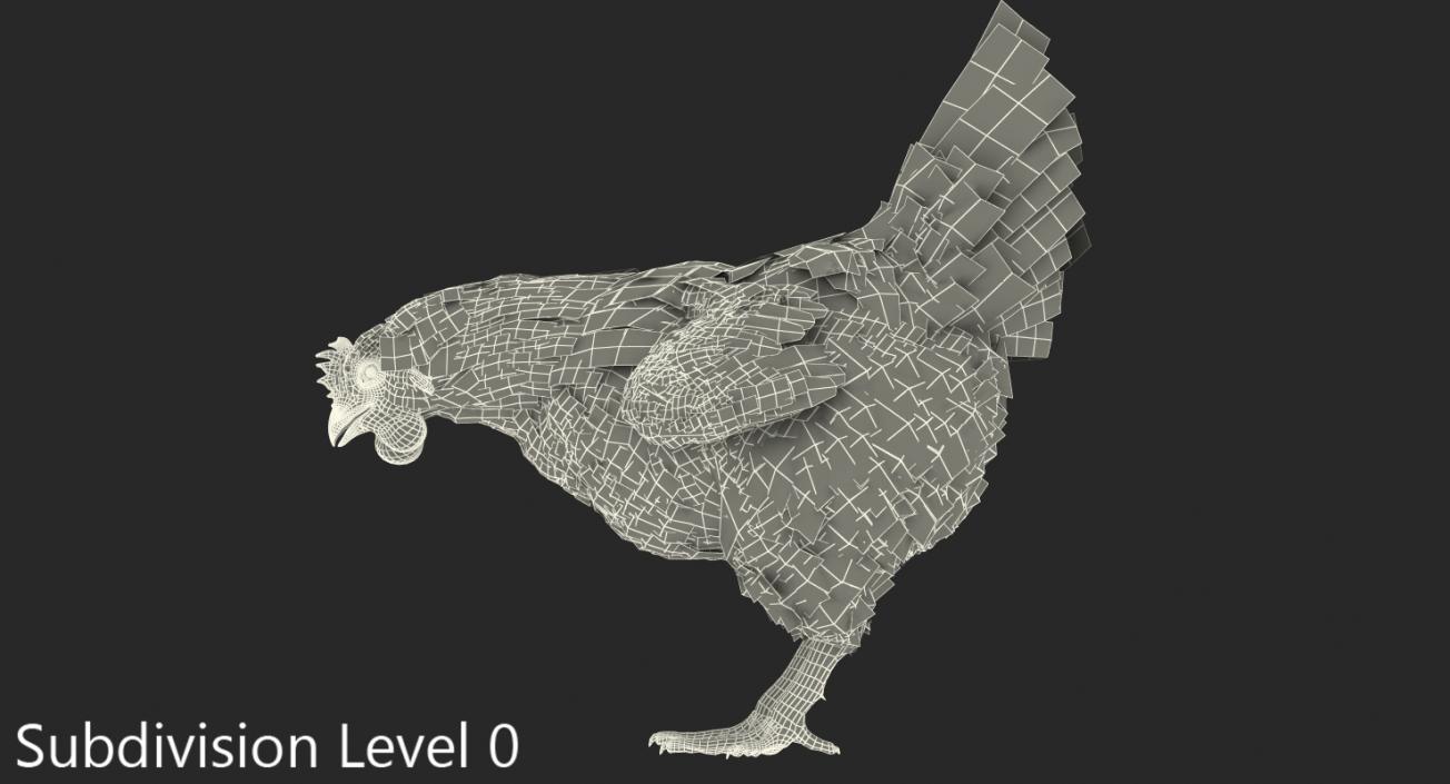 3D model White Chicken Eating Pose