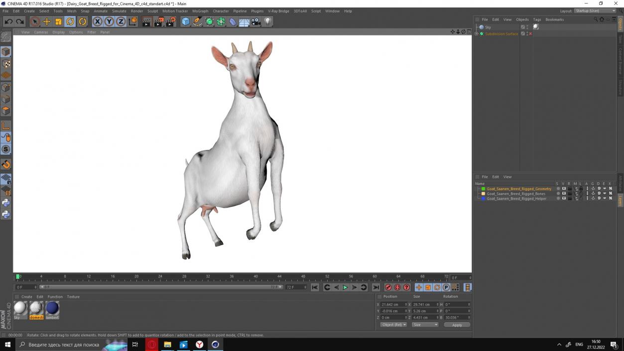 3D Goat Saanen Breed Rigged for Cinema 4D model