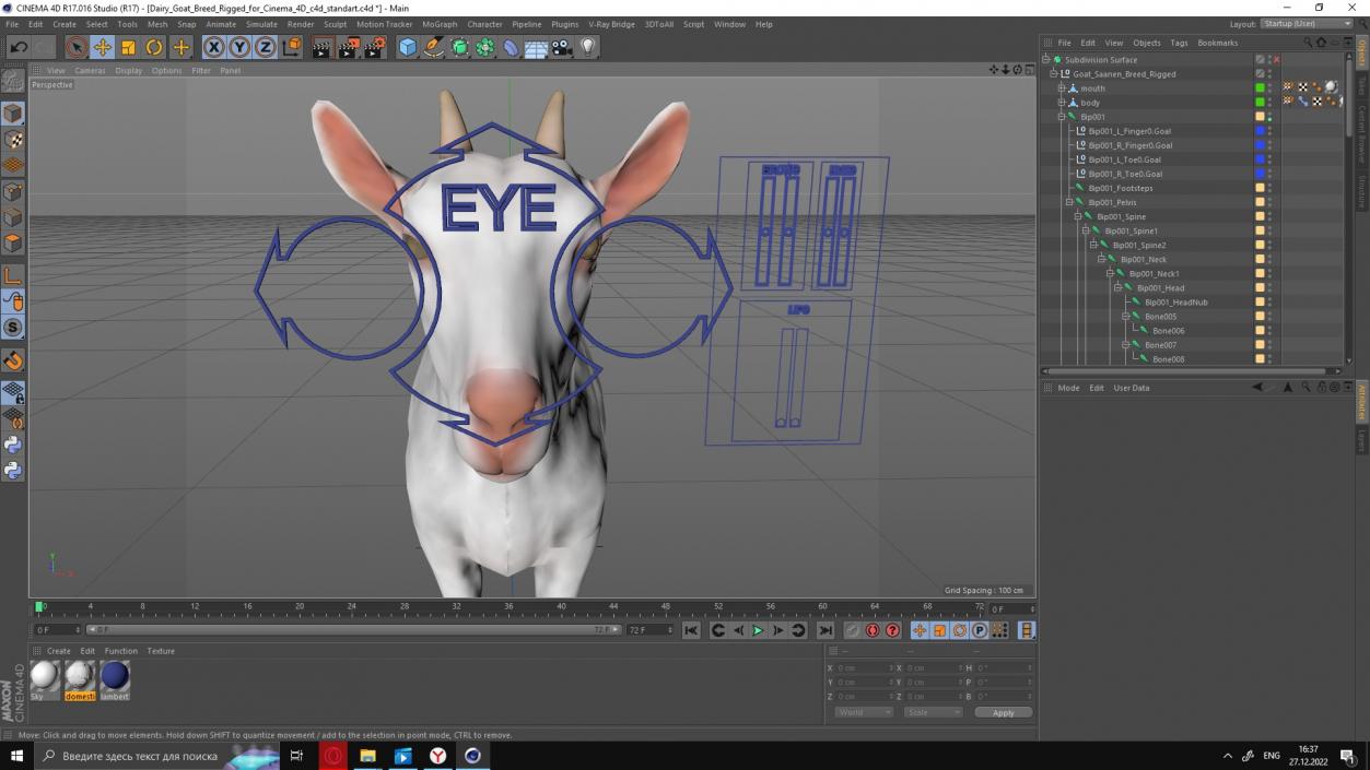 3D Goat Saanen Breed Rigged for Cinema 4D model