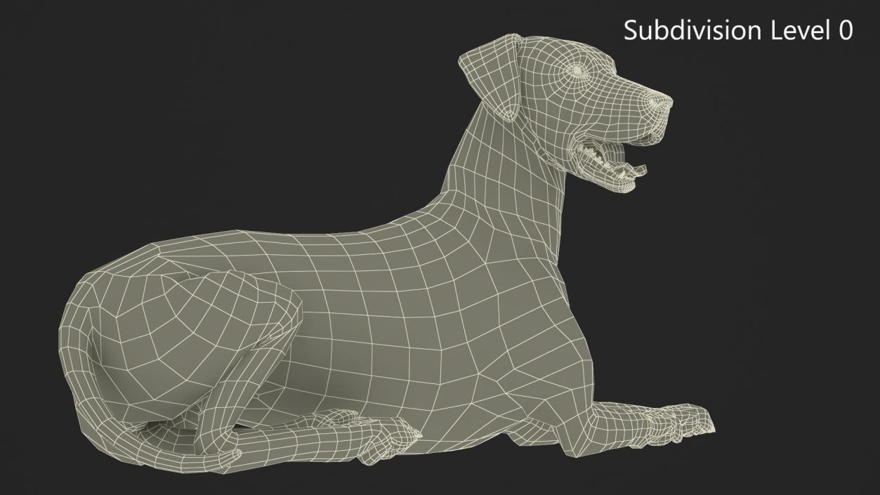 3D Spotted Lying Dalmatian Dog Fur