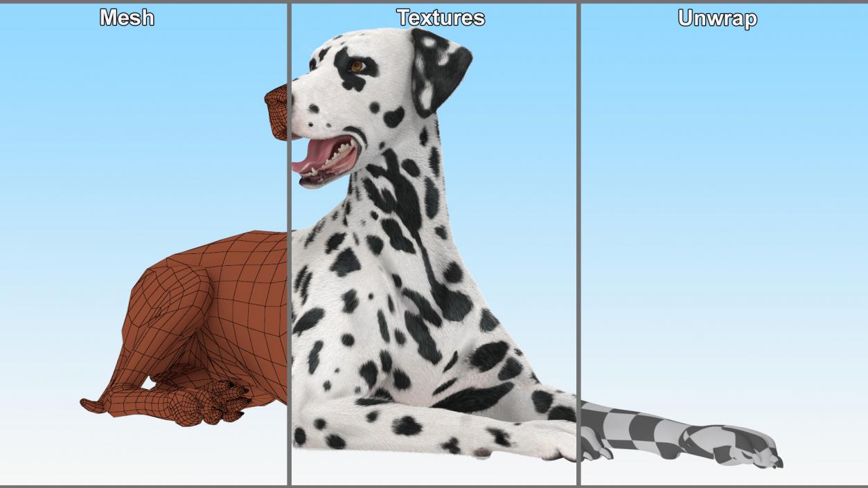 3D Spotted Lying Dalmatian Dog Fur