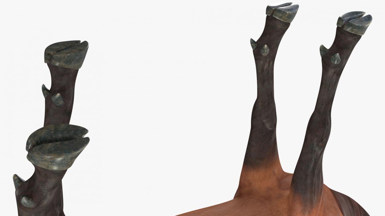 Elk Standing Pose 3D