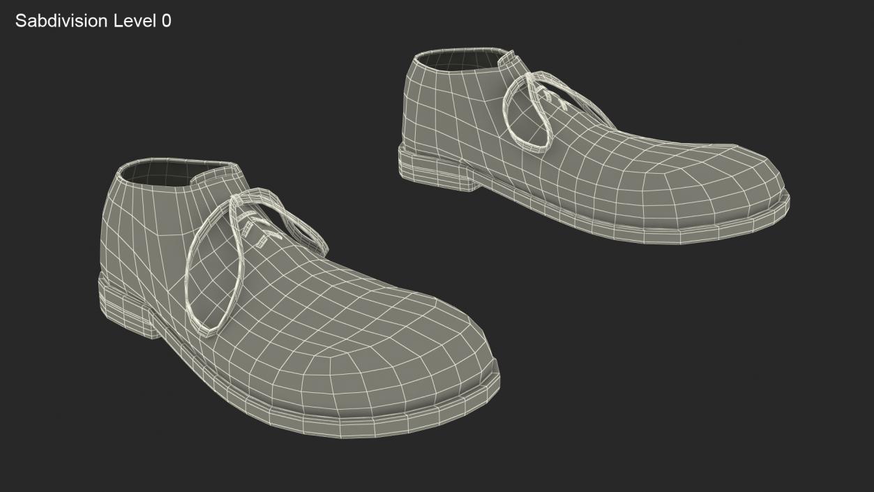 3D Clown Shoes