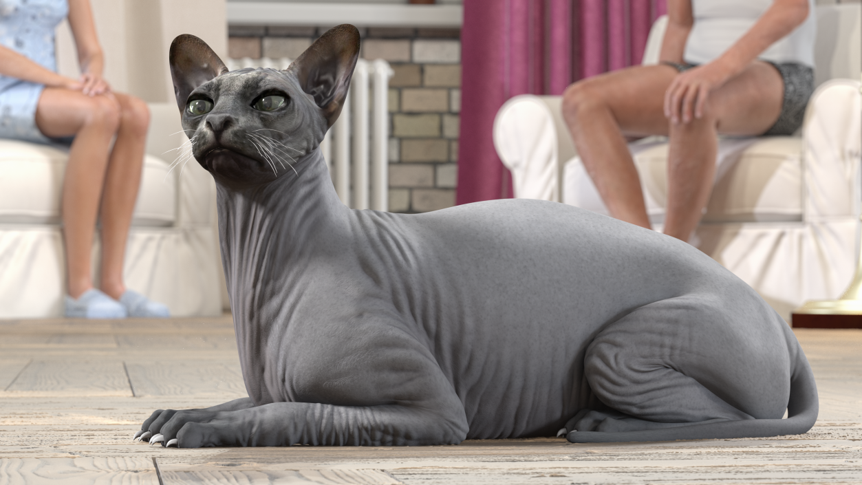 Sphynx Cat Black Lying Pose 3D