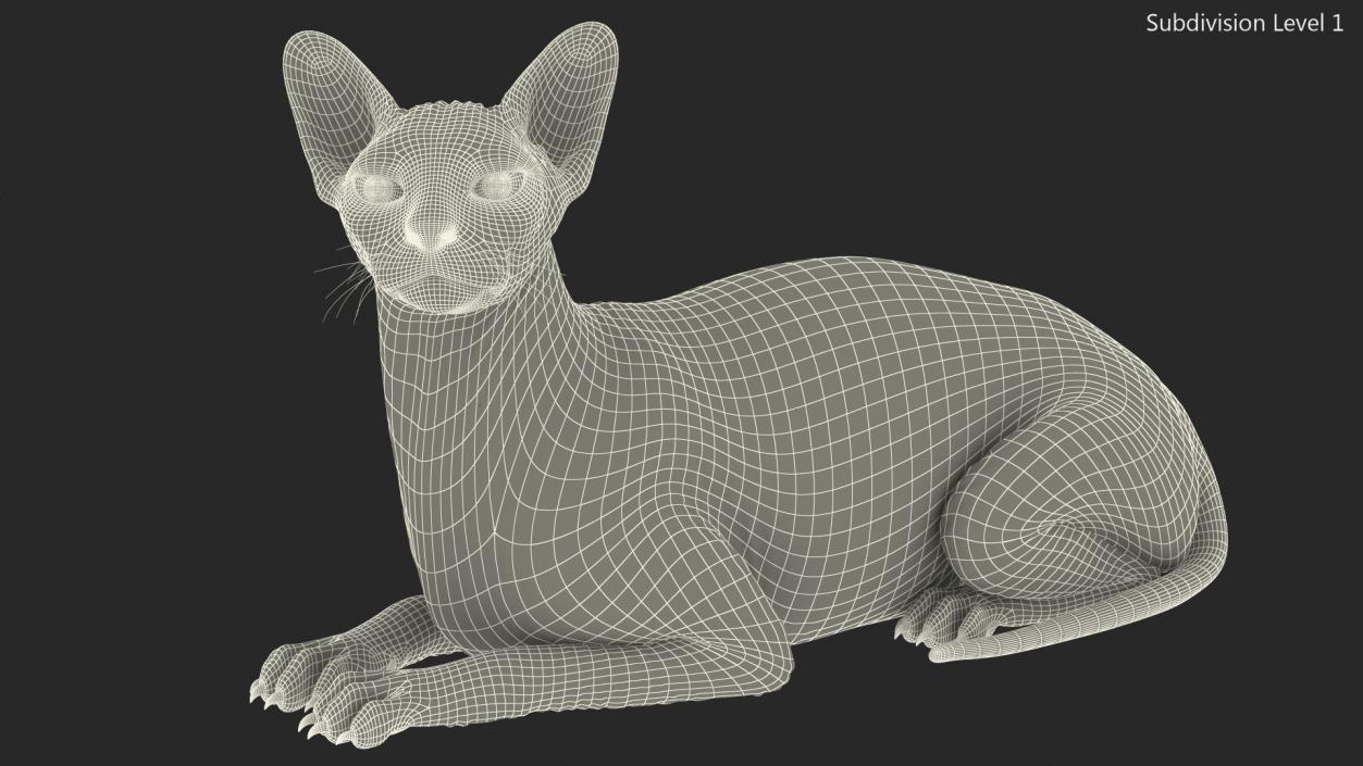 Sphynx Cat Black Lying Pose 3D