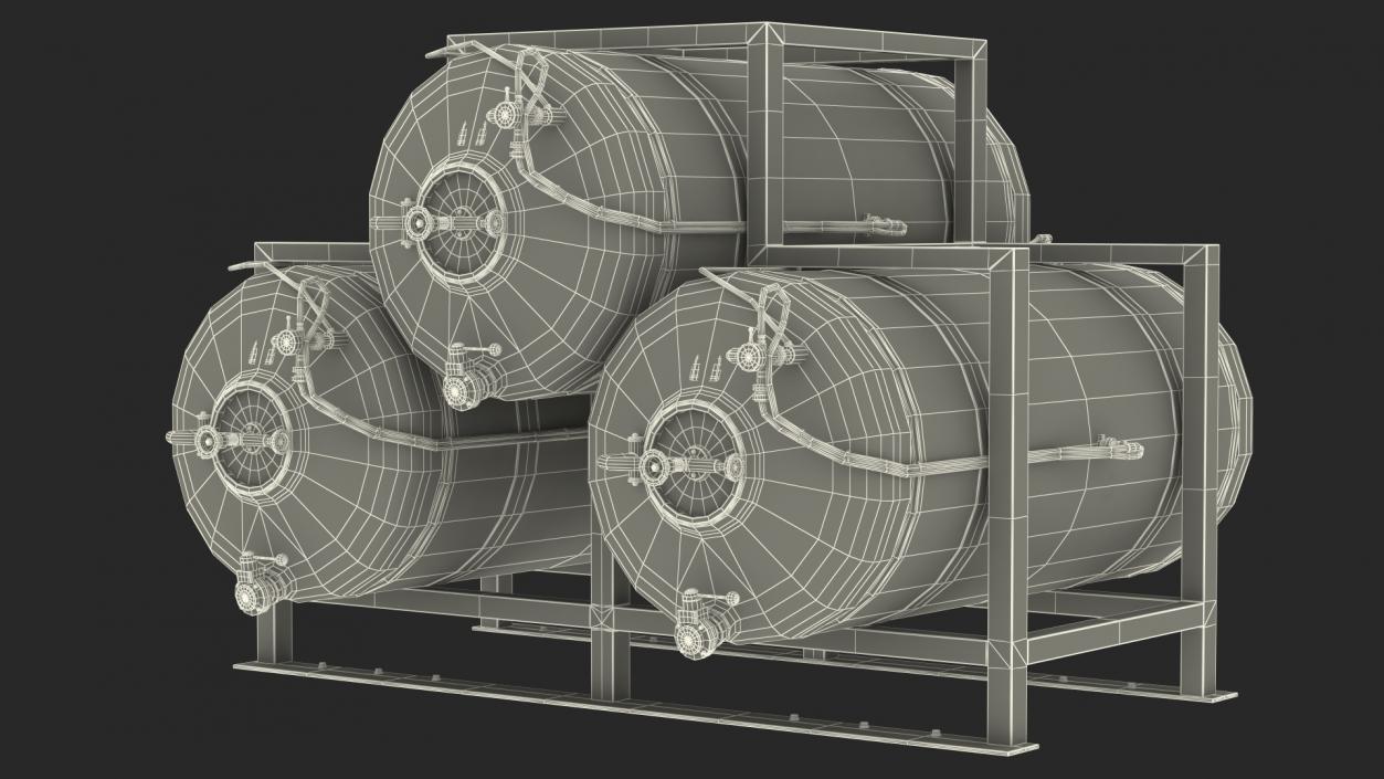 3D model Impiantinox Easybrau Velo Inliner Beer Tank System