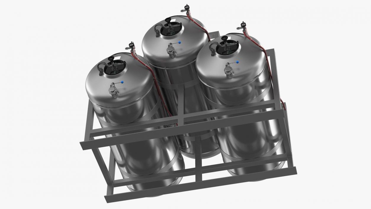 3D model Impiantinox Easybrau Velo Inliner Beer Tank System