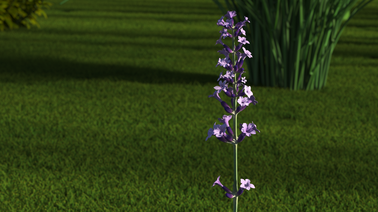 3D model Flower Lavender Stem