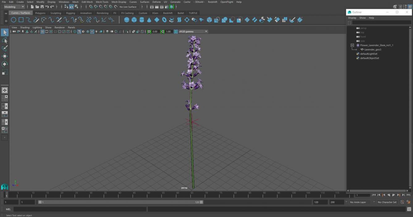 3D model Flower Lavender Stem