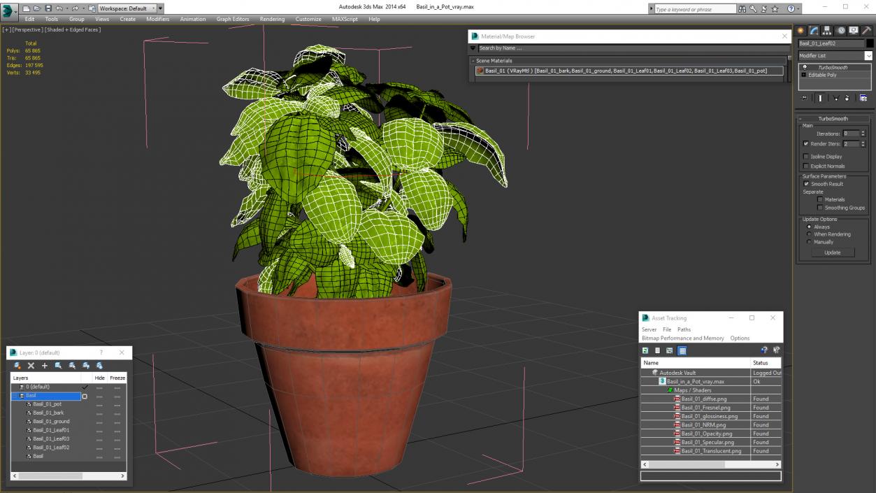 3D model Fresh Basil Herb in a Pot