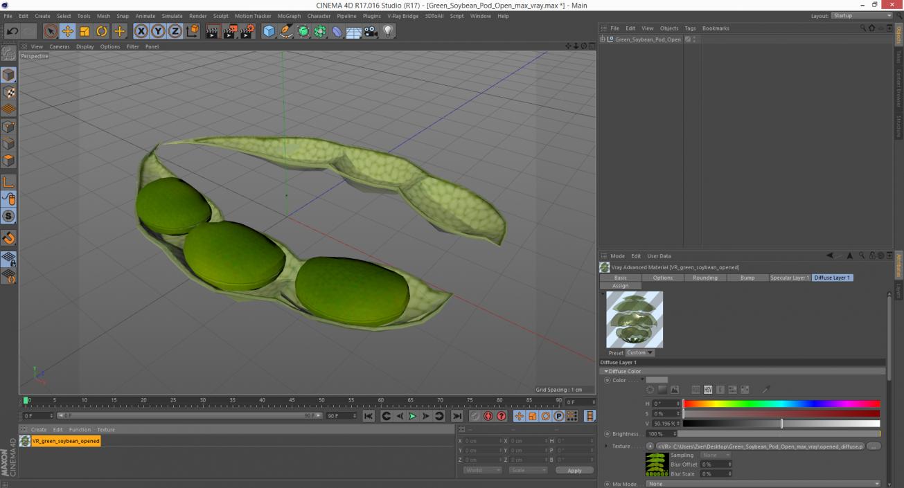 Green Soybean Pod Open 3D