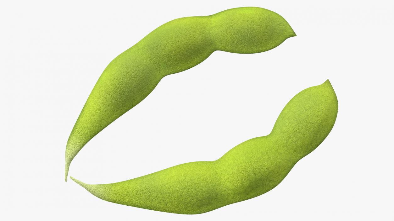 Green Soybean Pod Open 3D