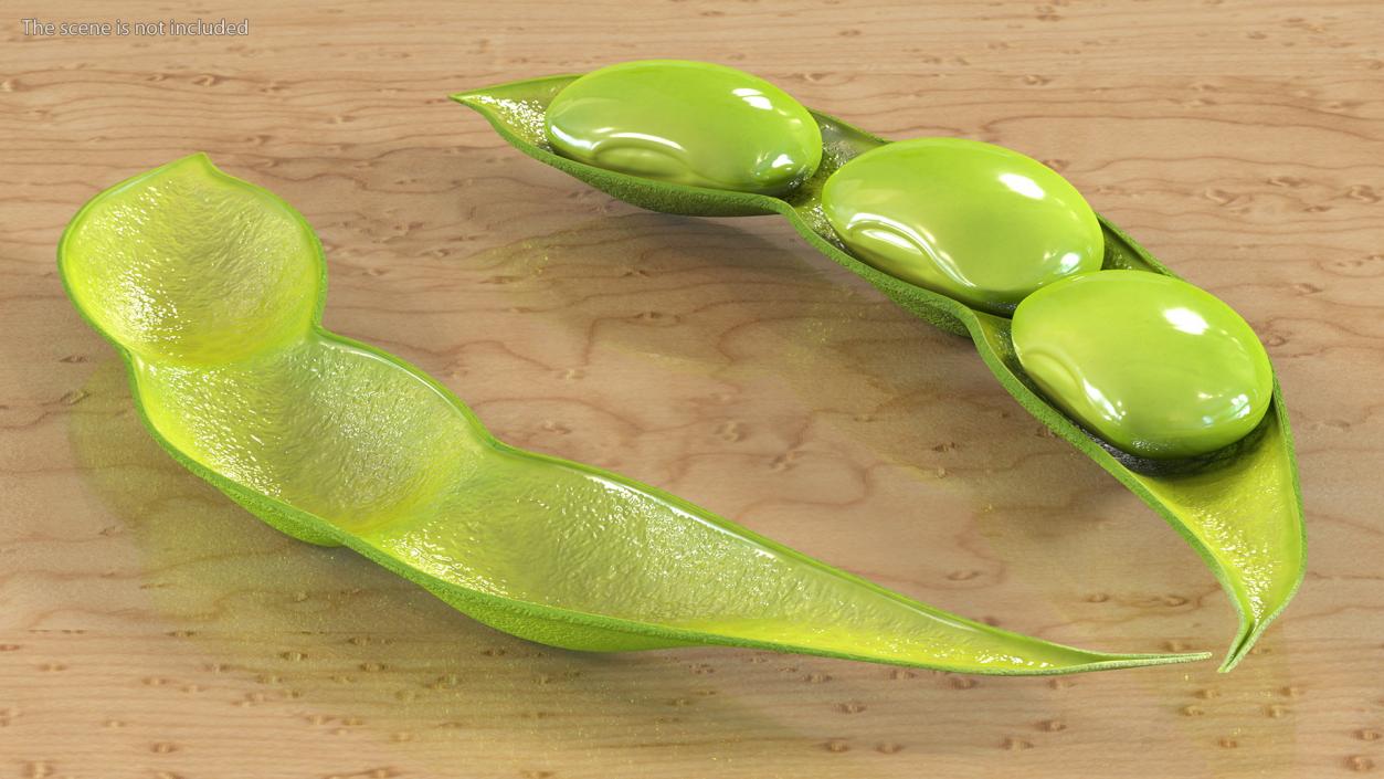 Green Soybean Pod Open 3D