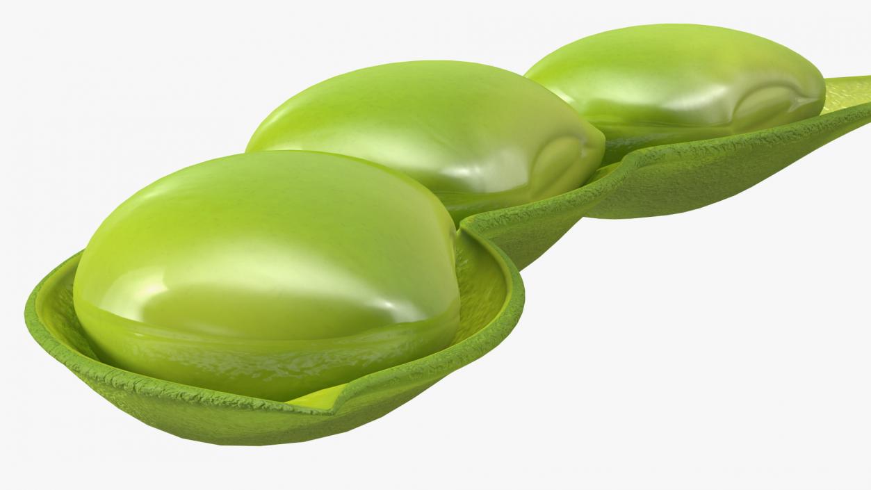 Green Soybean Pod Open 3D