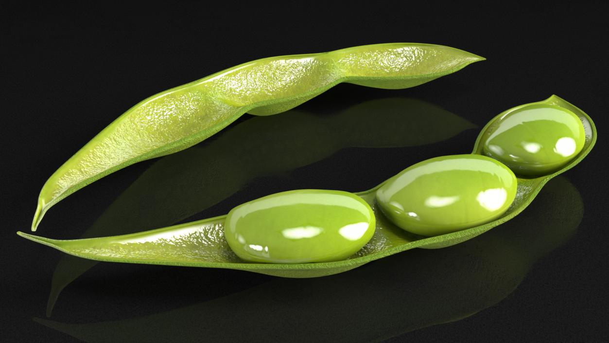 Green Soybean Pod Open 3D