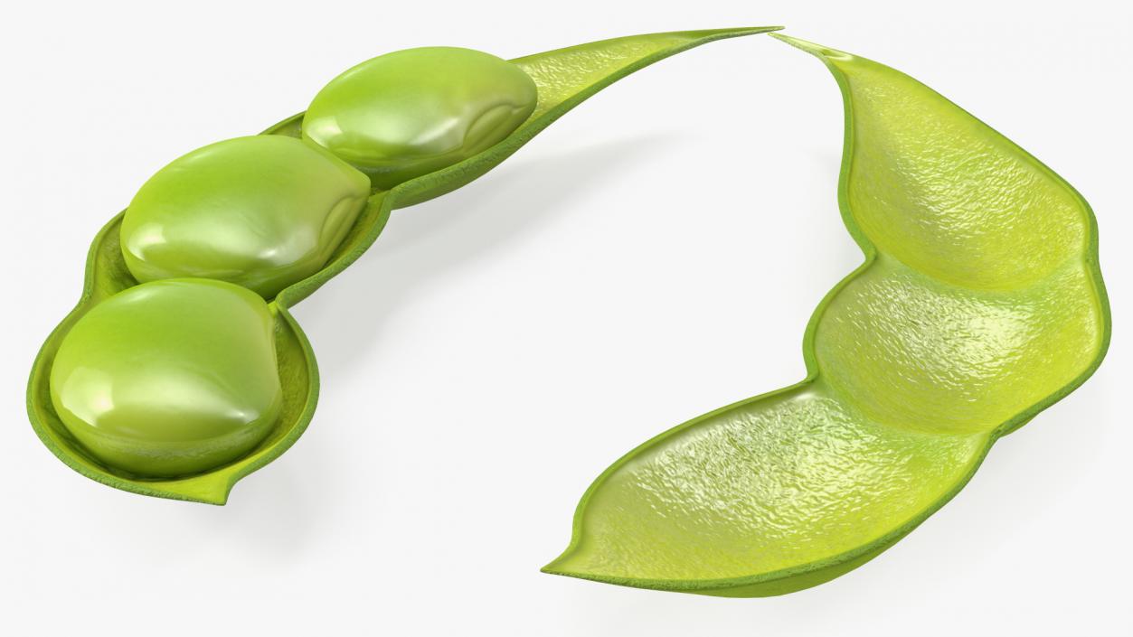 Green Soybean Pod Open 3D