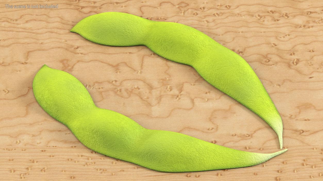 Green Soybean Pod Open 3D