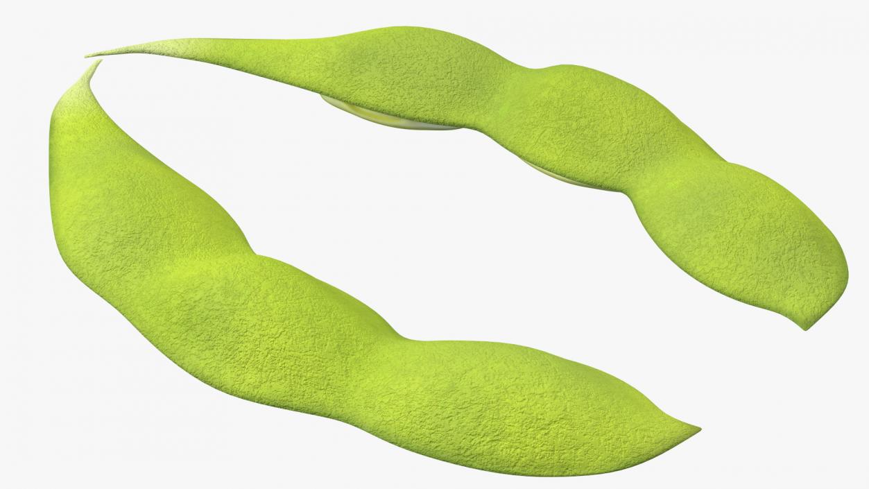 Green Soybean Pod Open 3D