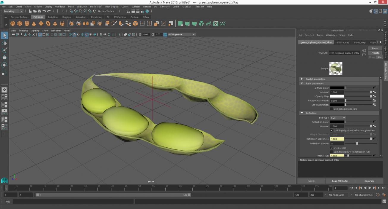 Green Soybean Pod Open 3D