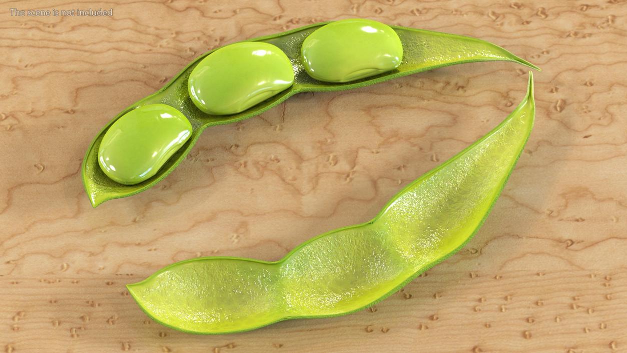 Green Soybean Pod Open 3D