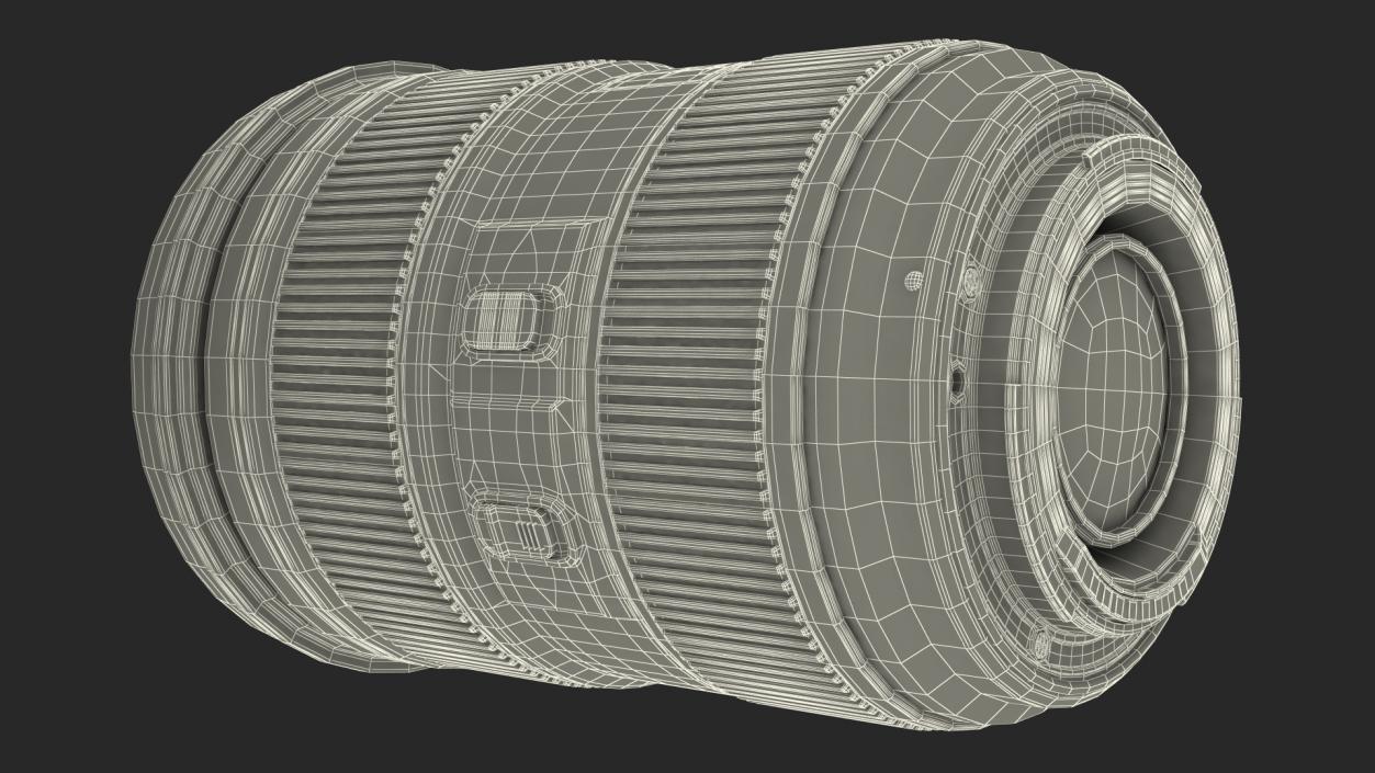 3D model Canon 1DX with Zoom Lens 24 70