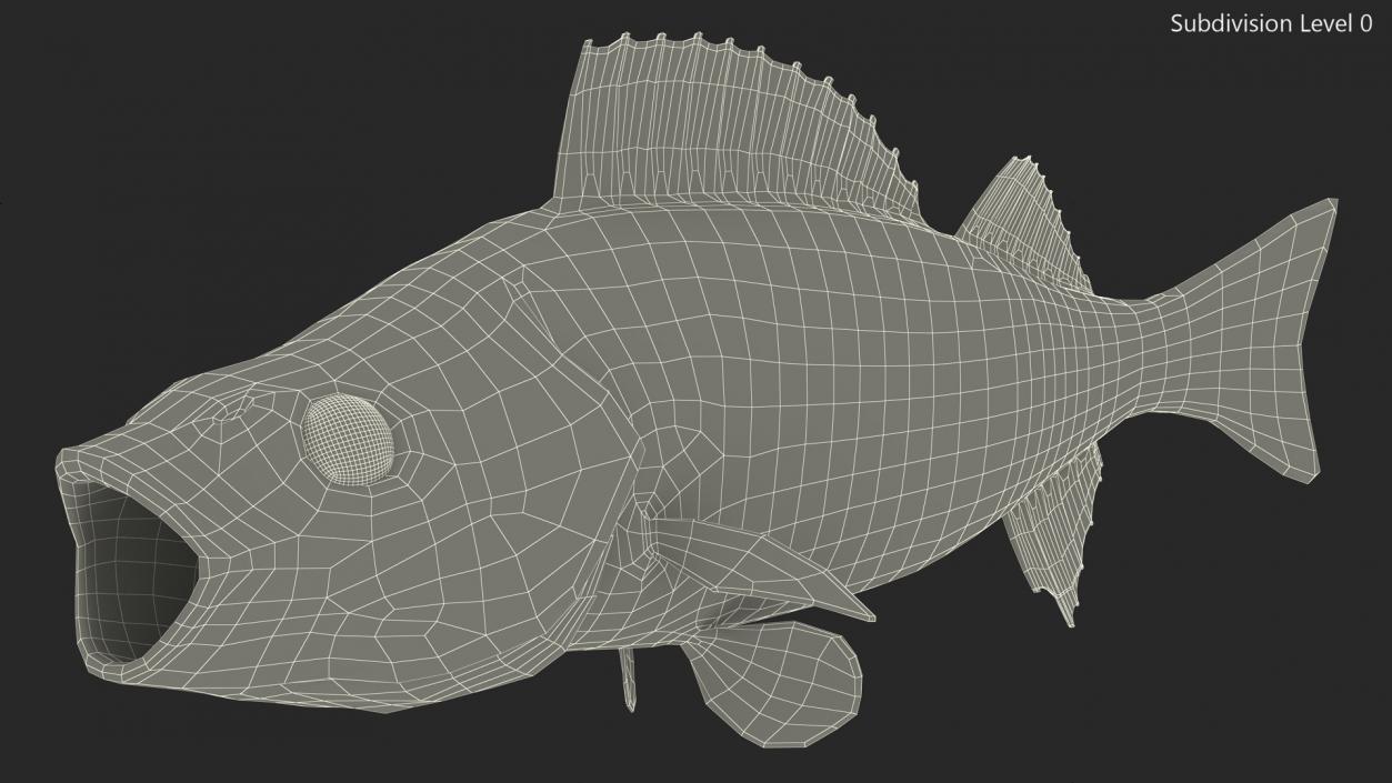 Perca Fluviatilis Rigged 3D model