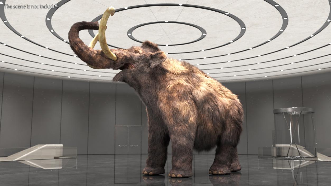 Mammoth Adult Fur Rigged 3D model