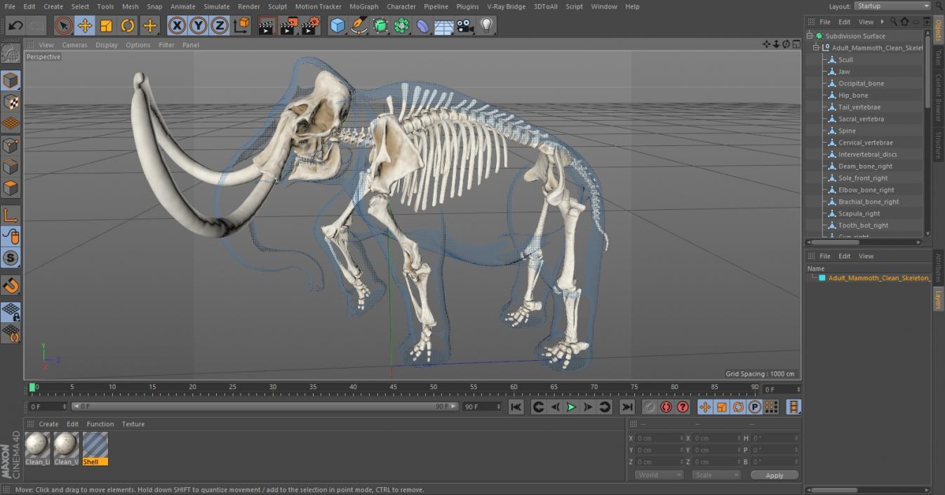 Adult Mammoth Clean Skeleton Shell Walking Pose 3D