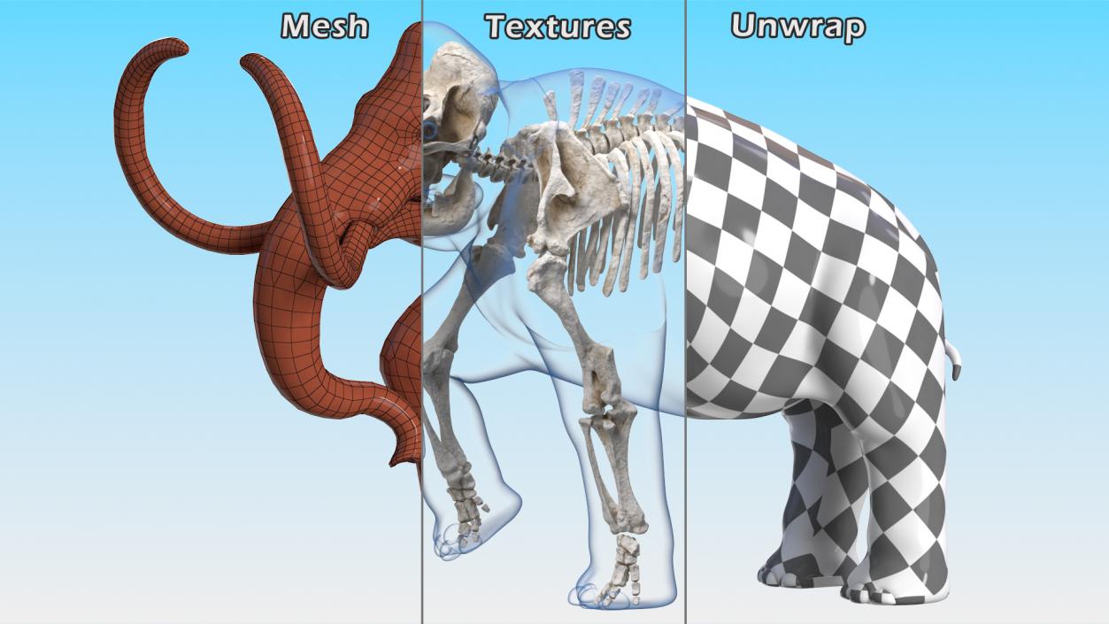 Adult Mammoth Clean Skeleton Shell Walking Pose 3D