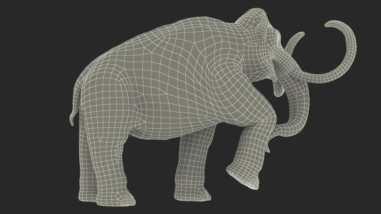 Adult Mammoth Clean Skeleton Shell Walking Pose 3D