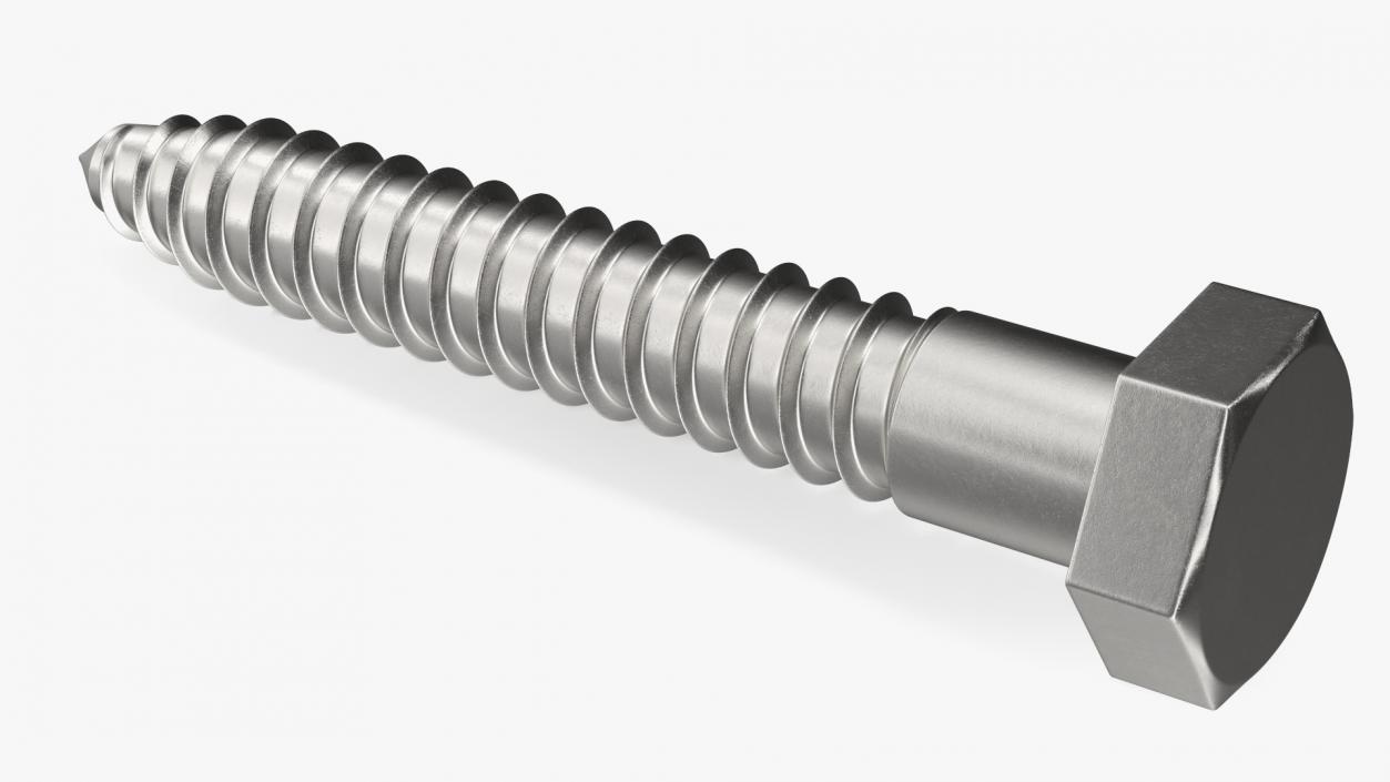 3D model Lag Bolt