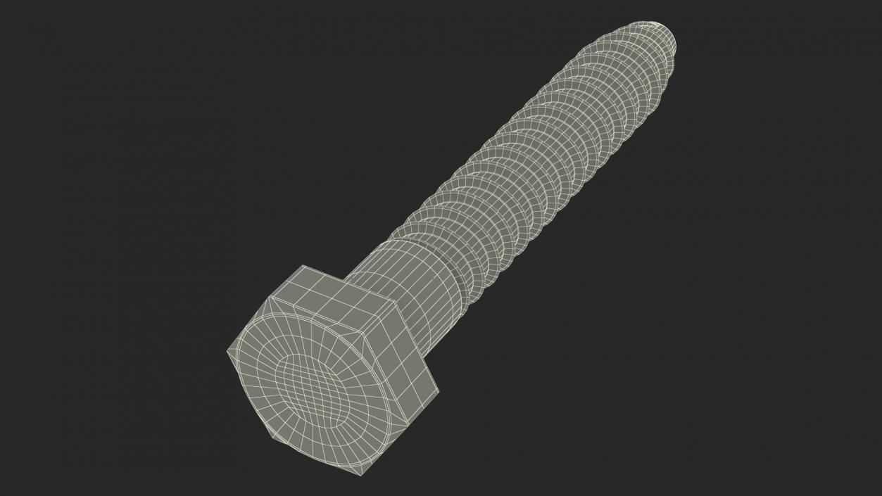 3D model Lag Bolt