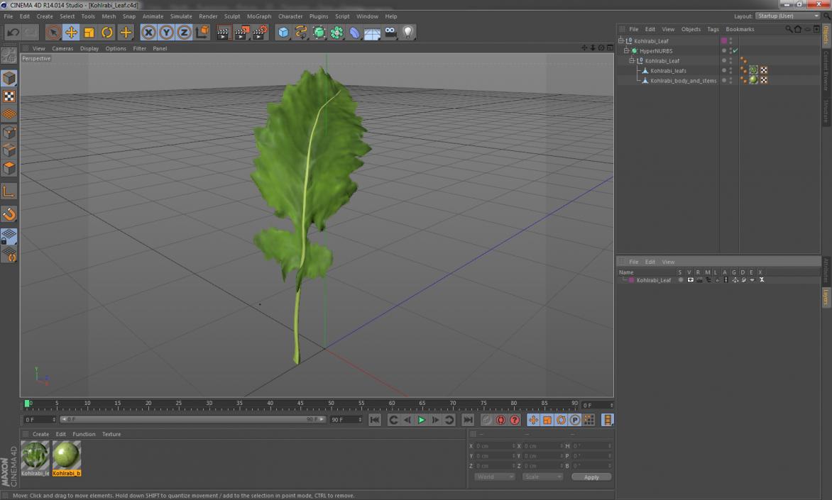 3D Kohlrabi Leaf model