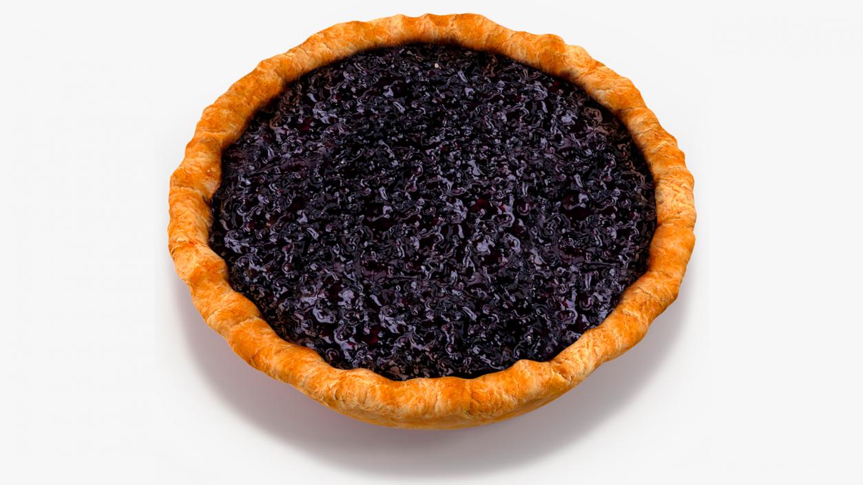 3D Open Face Blueberry Pie model