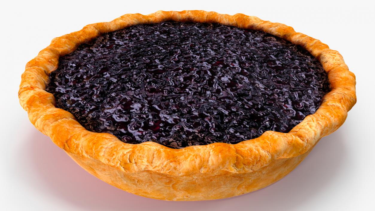 3D Open Face Blueberry Pie model