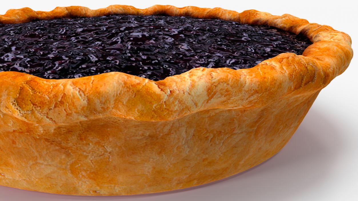 3D Open Face Blueberry Pie model