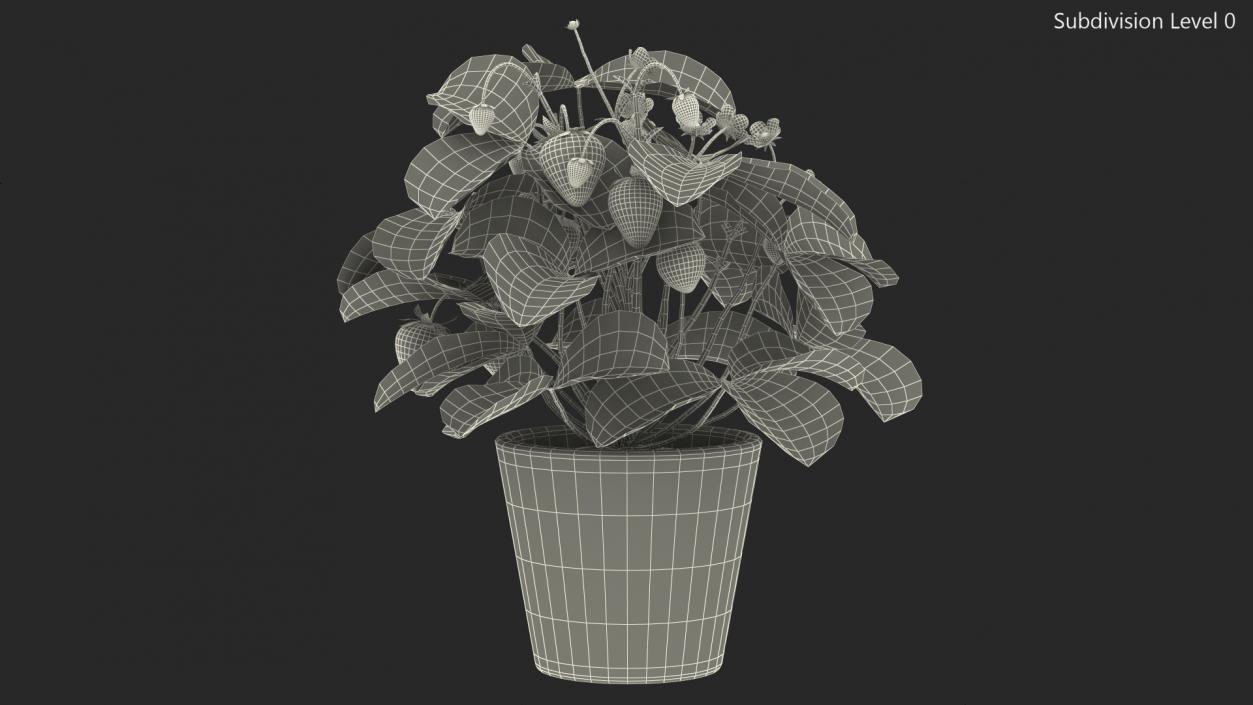 3D model Strawberry Plant with Fruits in Pot