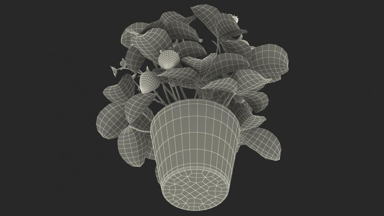 3D model Strawberry Plant with Fruits in Pot