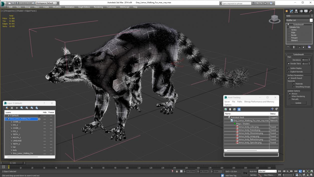 Grey Lemur Walking Fur 3D