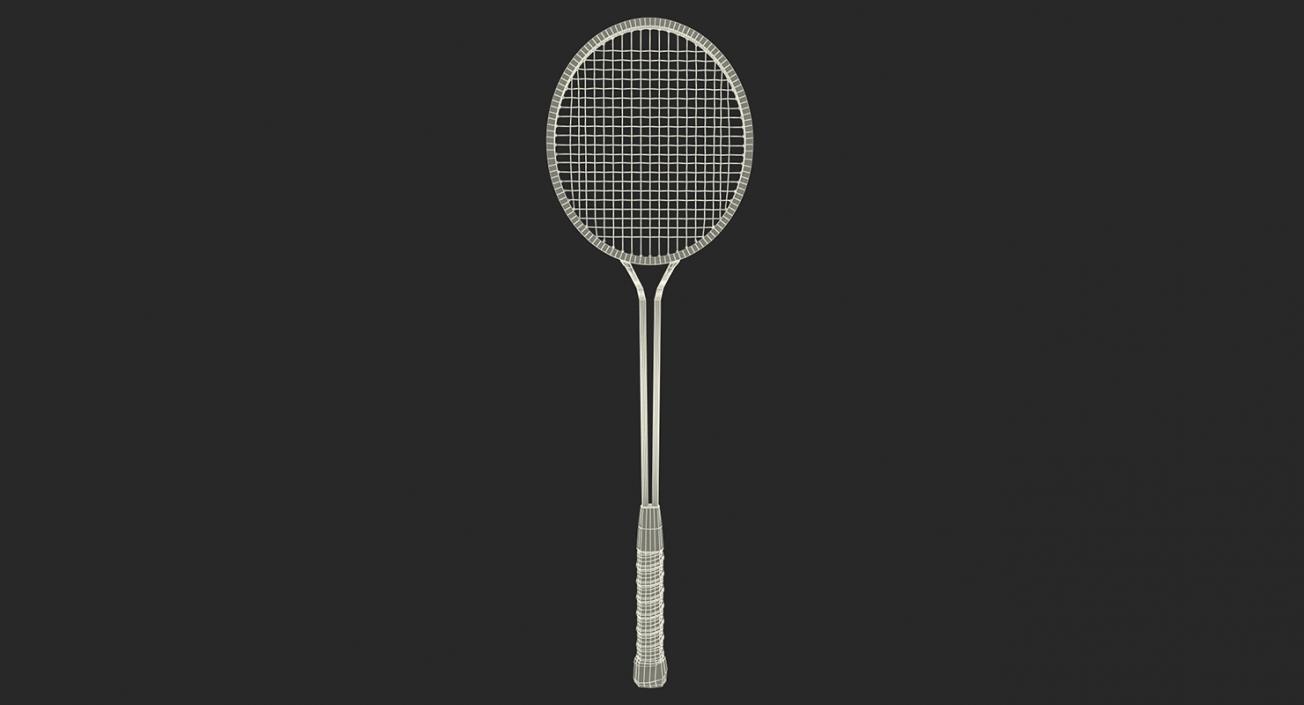 Sport Rackets Collection 3D model