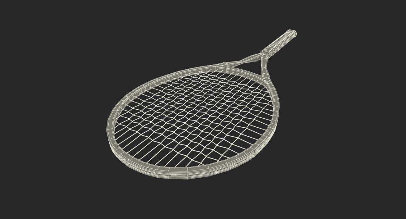 Sport Rackets Collection 3D model