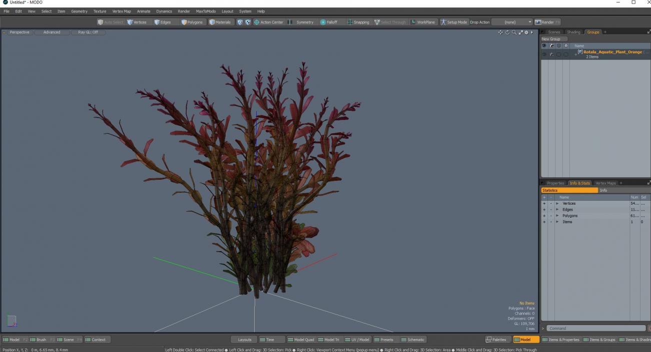 Rotala Aquatic Plant Orange 2 3D model