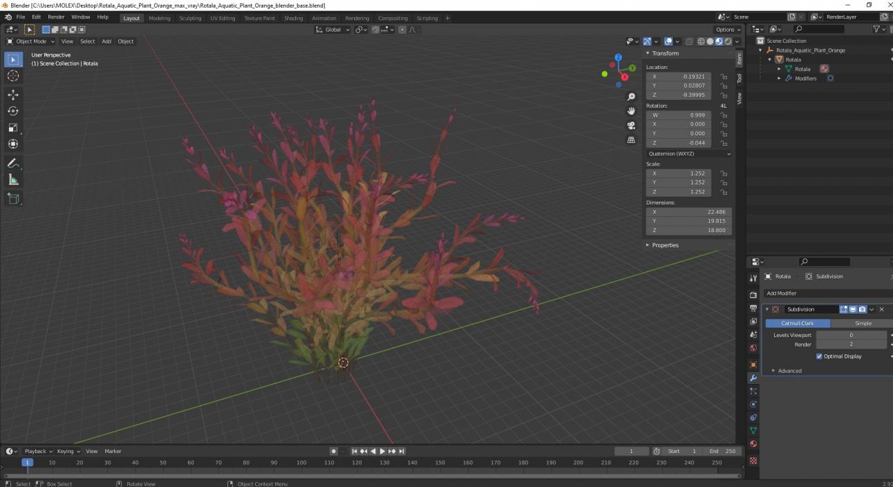 Rotala Aquatic Plant Orange 2 3D model