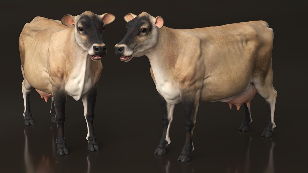 3D Jersey Dairy Cow